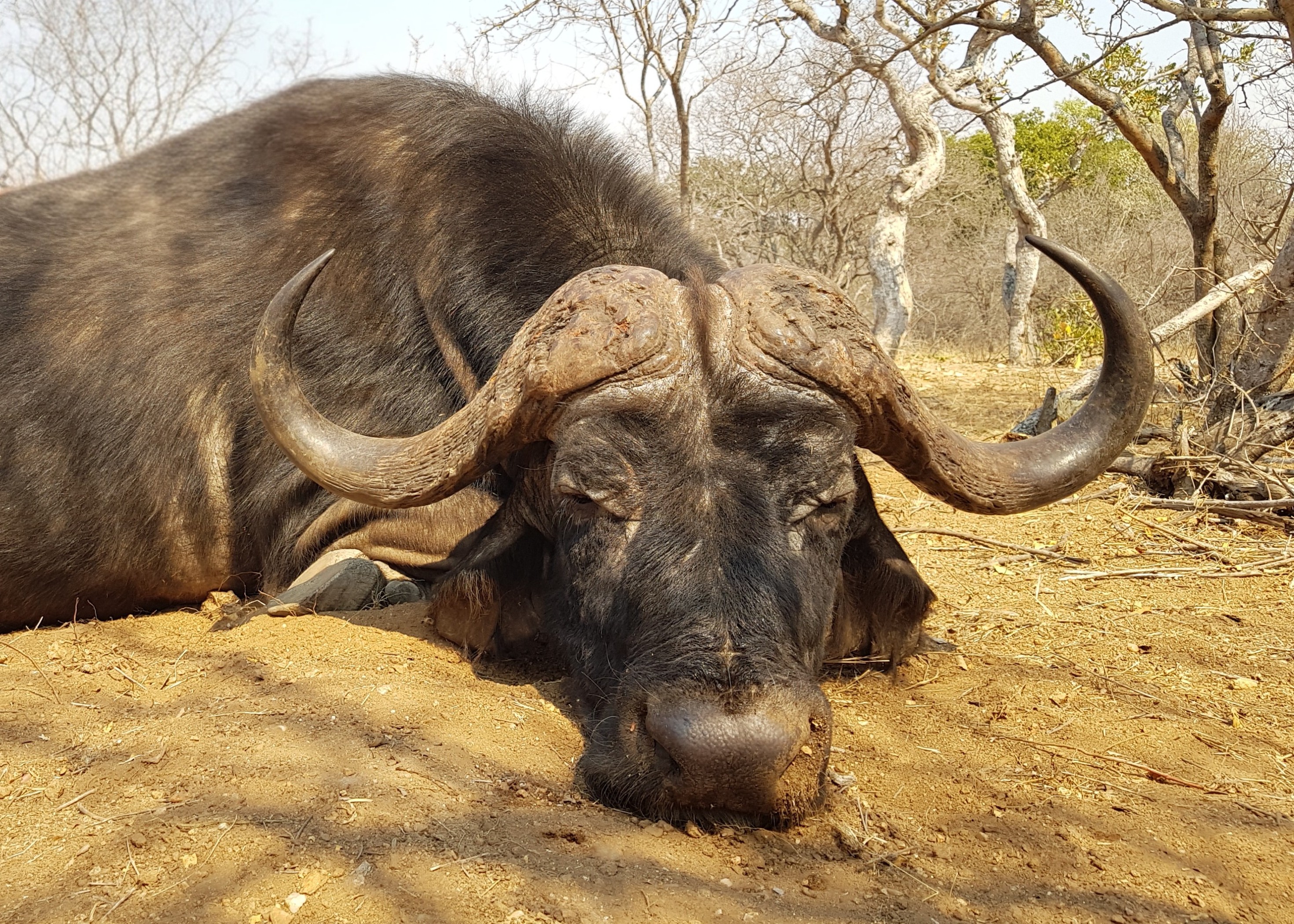 Hunting in South Africa